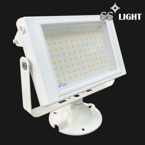 [SS LED] 사각 백색 노출투광기 30W (전구색/주광색)