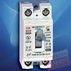 배선용차단기 2P 30A 2.5KA