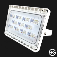 [동성] LED 노출투광기 백색 30W KS (전구색/주광색)