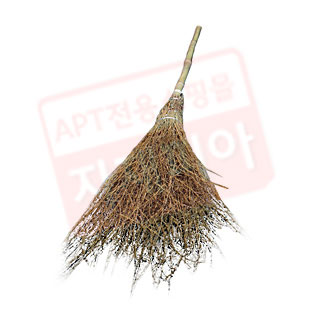 대나무비 10개 묶음