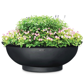 D1형 저상원형 (中)