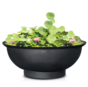 D1형 저상원형 (小)