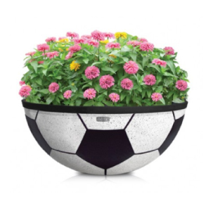 D3W 검은무늬공화분 (大)