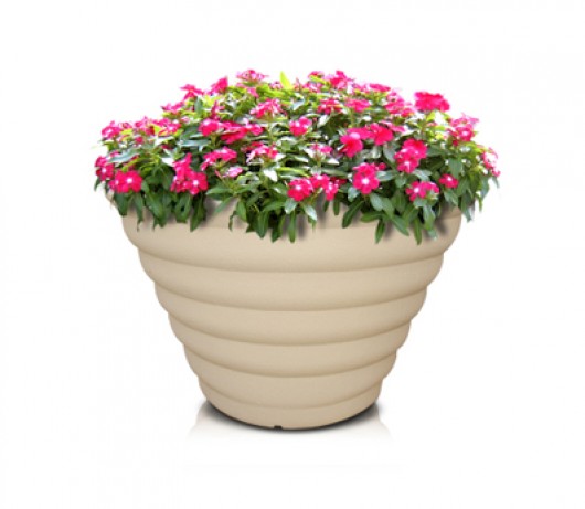 V2형 골뱅이타원형