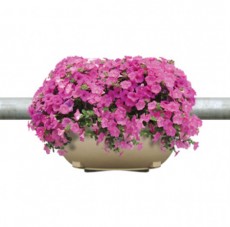 PLE형 걸이용화분