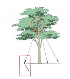 와이어지주세트