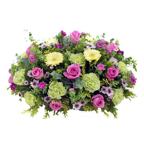 [테이블,탁자용]사방화(OW-6109)